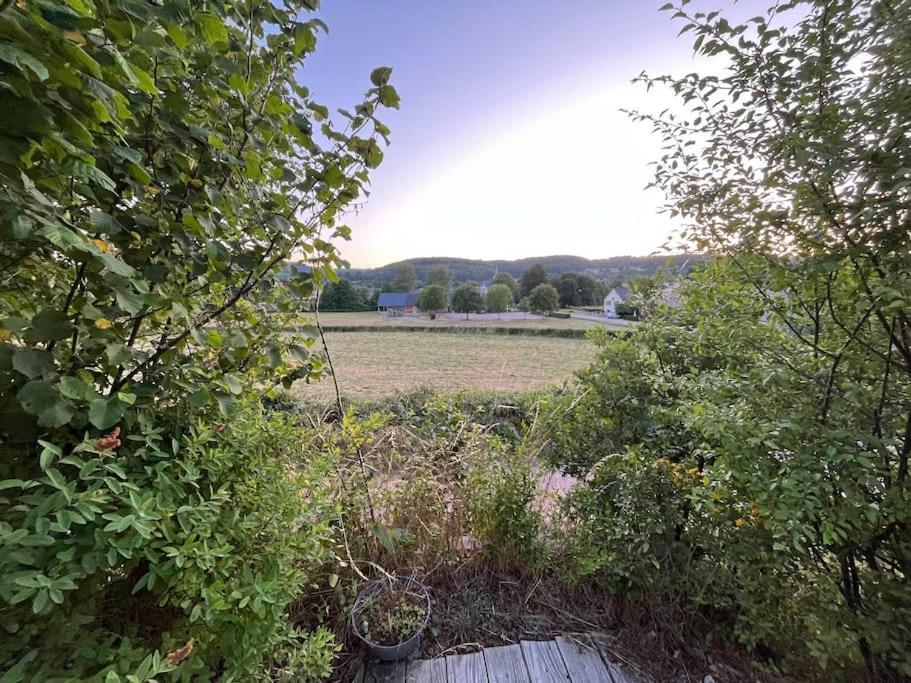Martin-pecheur Prox. Settons Alligny-en-Morvan